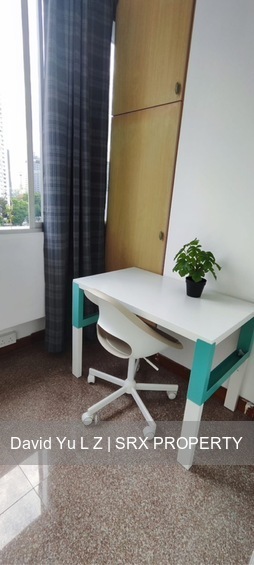 Balestier Plaza (D12), Apartment #492568741
